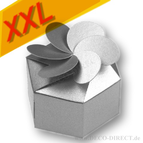 Geschenkverpackung silber