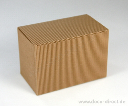 Falt-Klappdeckelverpackung 97710011300